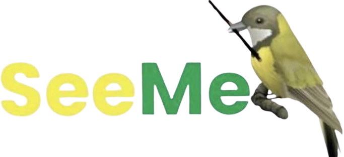 https://seemetz.net